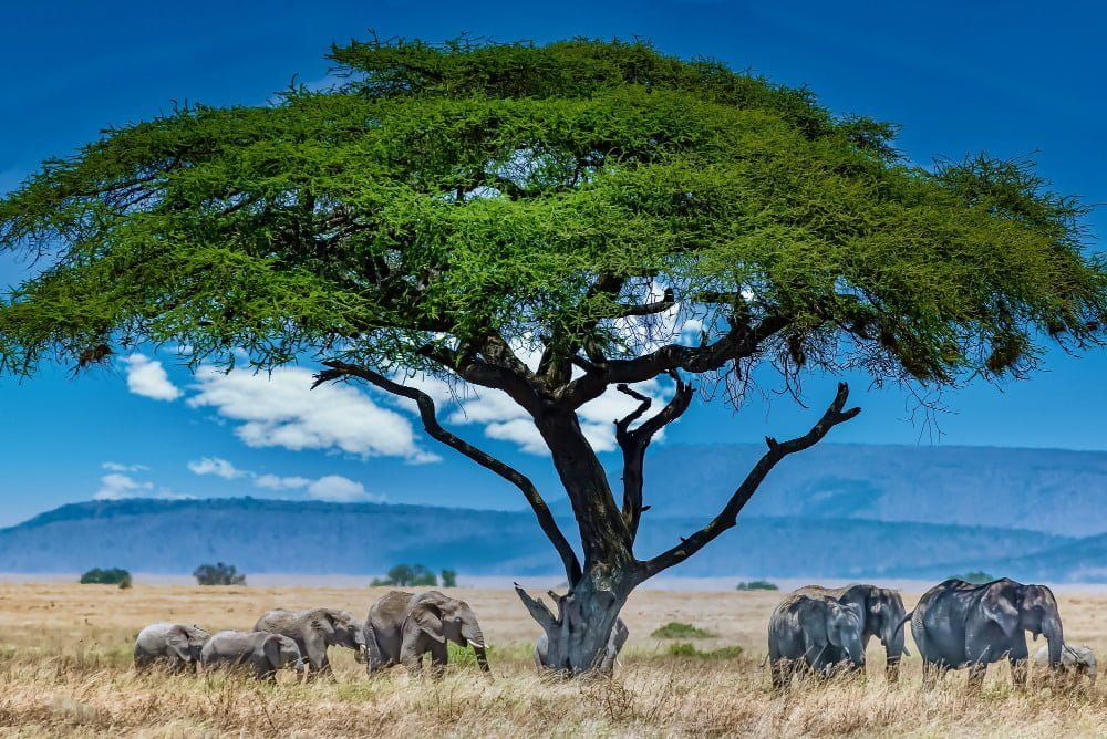 Best Places to Visit in Africa