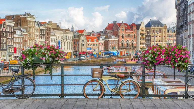 Amsterdam's culture